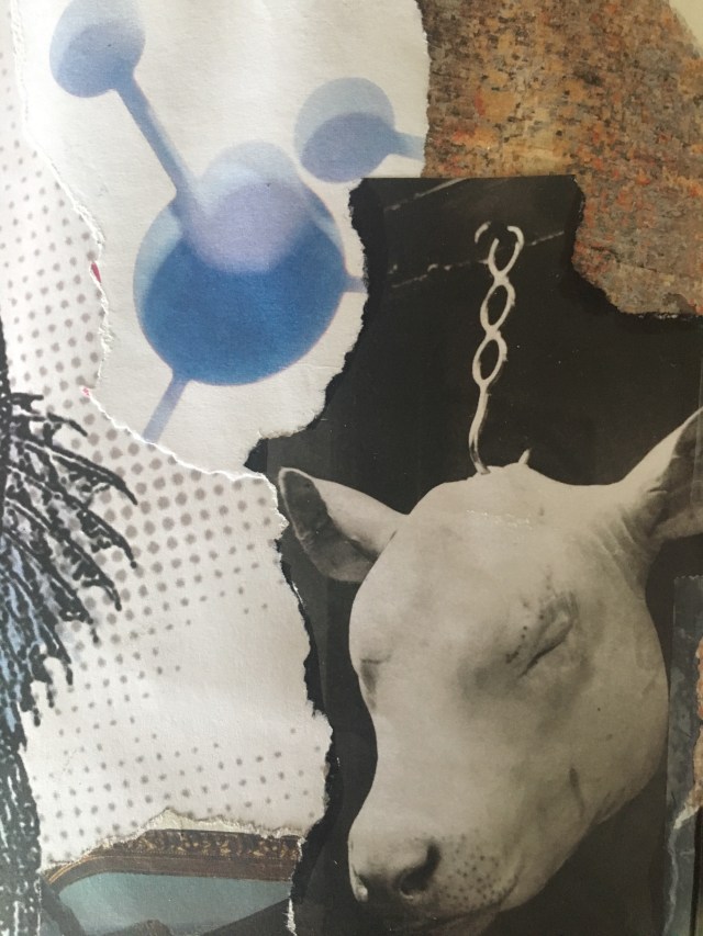 71480D6E-1976-43D1-9CED-765C95587CA5_1_201_a